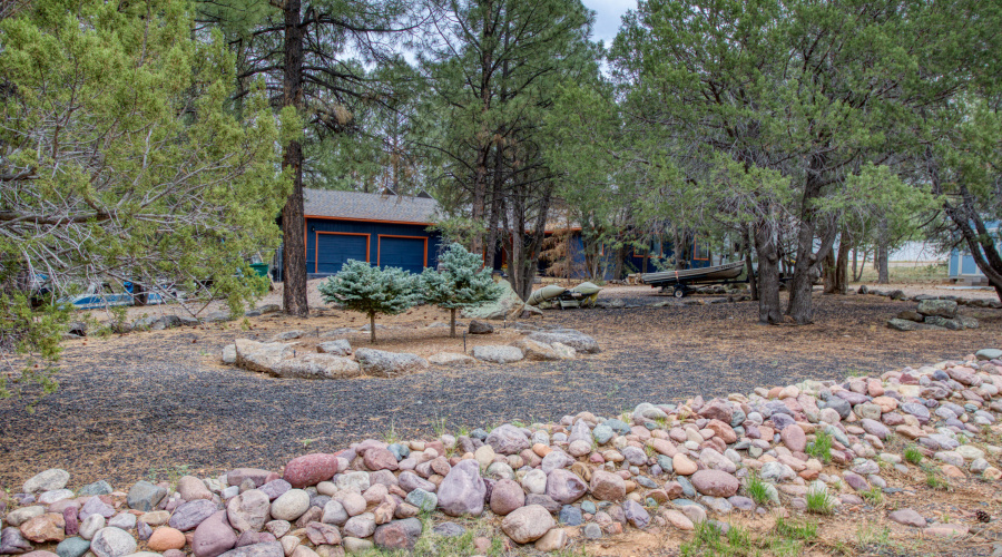 Paxmanphoto_PAX_9106