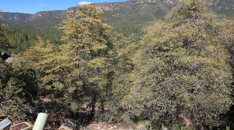 Connections on property