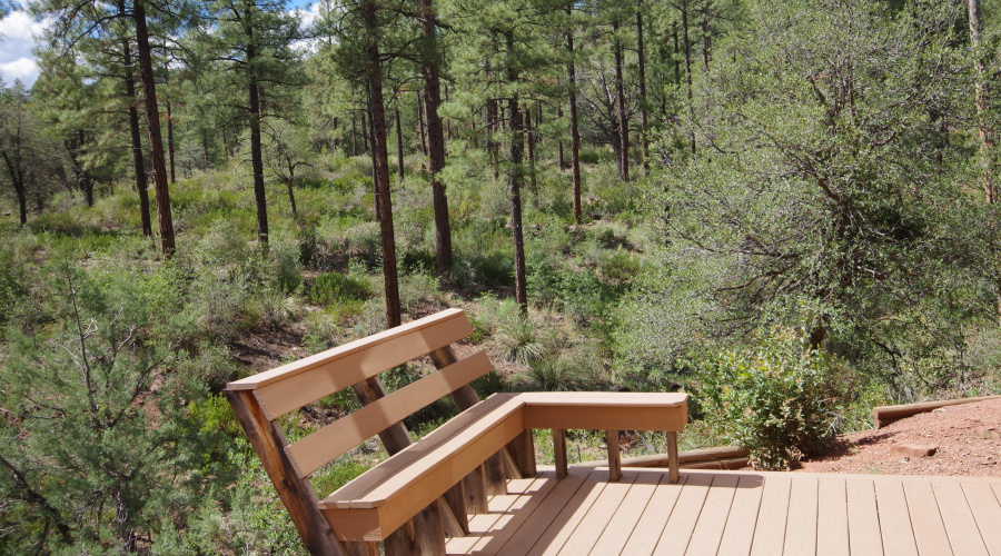 Back Deck Backing to Forest
