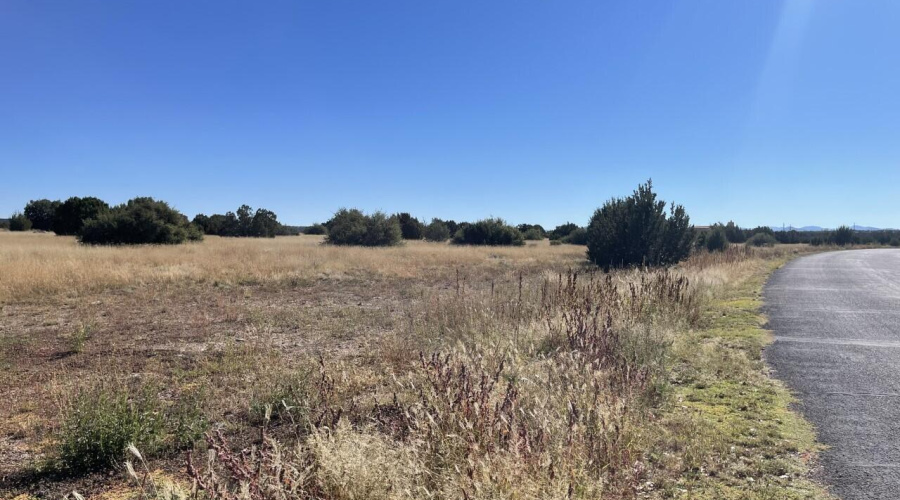 Paved maintained road