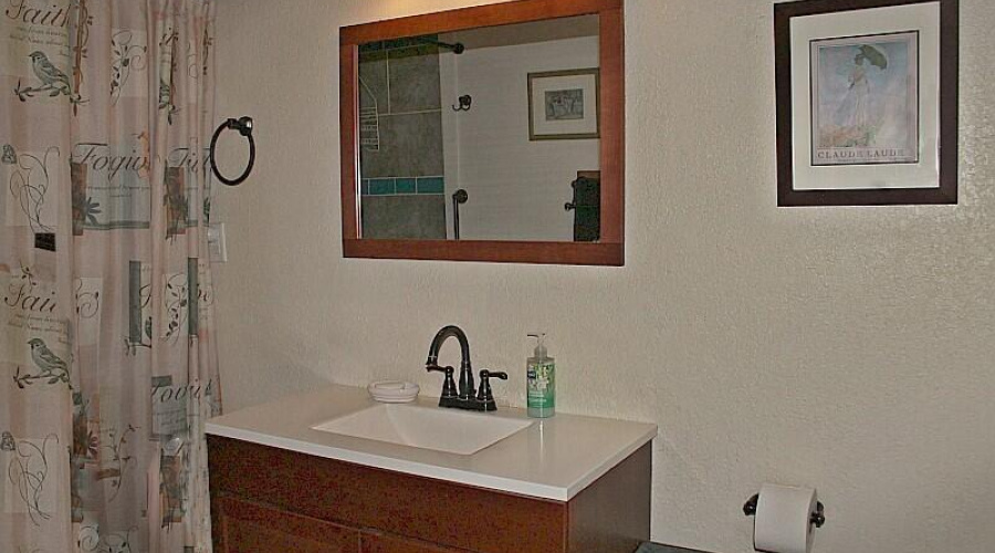 017_Downstairs Bathroom