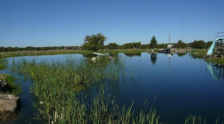 Photo of pond from old owner