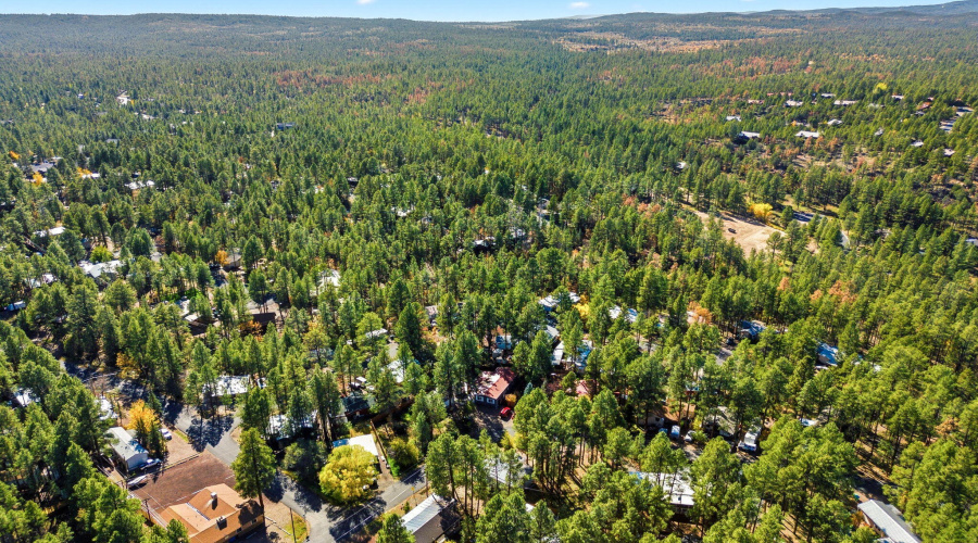 1200N45thDr-ShowLow-AZ-30