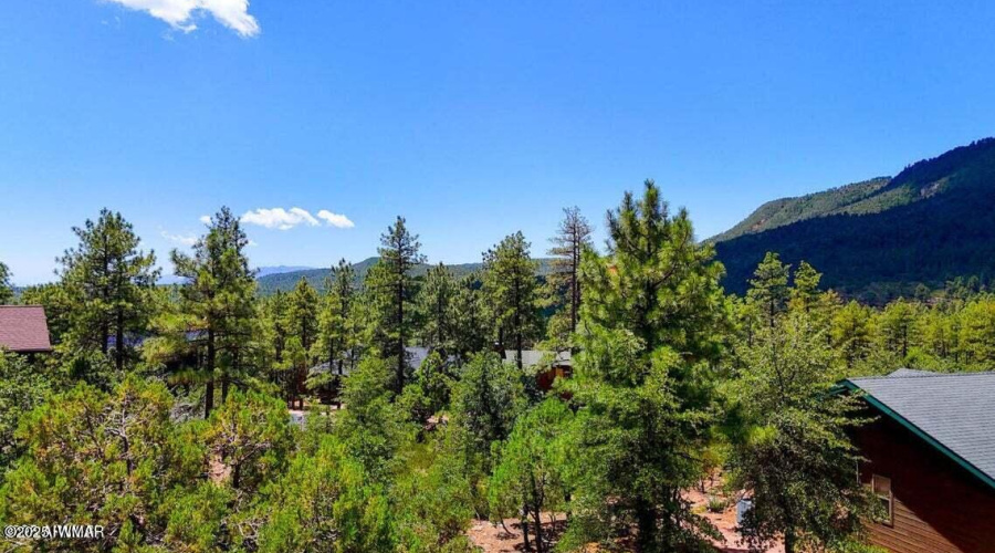 20250731170215364296000000-o