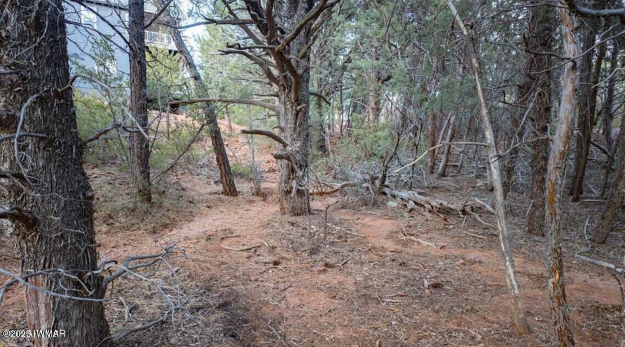 20250731170216557643000000-o