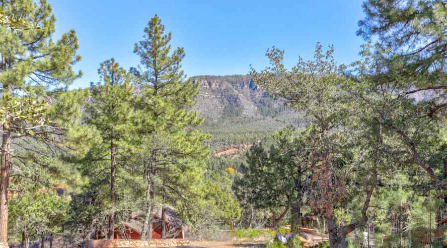 mls-1E0A5485_6_7_8_9 copy