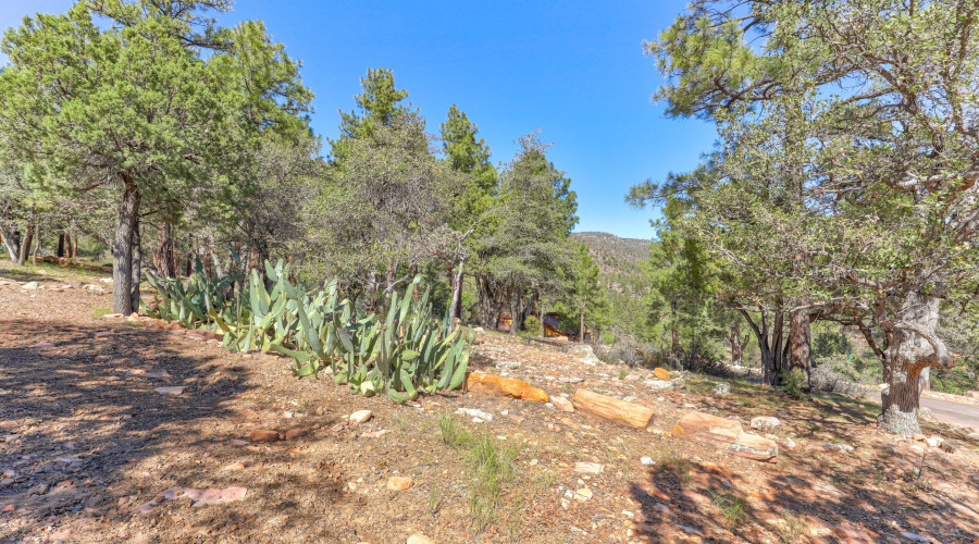 mls-1E0A5474_5_6_7_8 copy