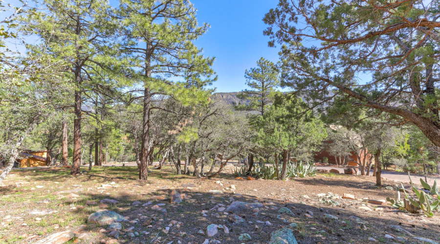 mls-1E0A5469_70_71_72_73 copy