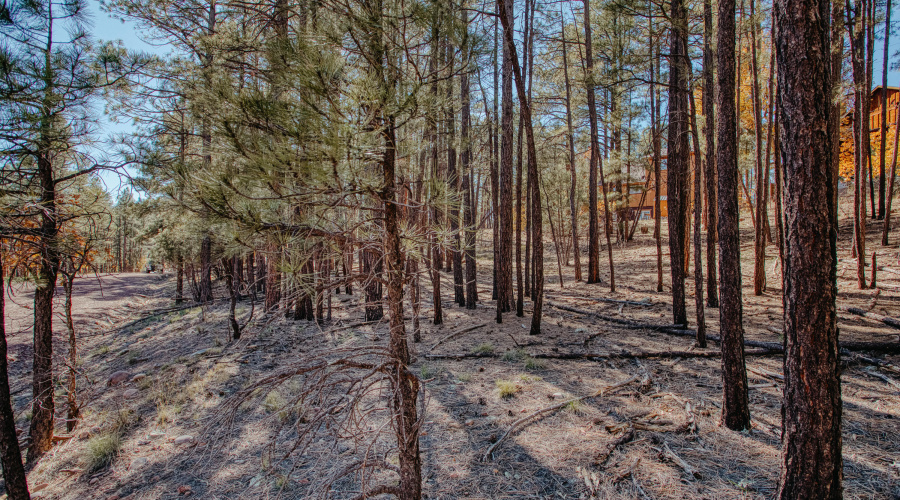 Double Lot Near Show Low