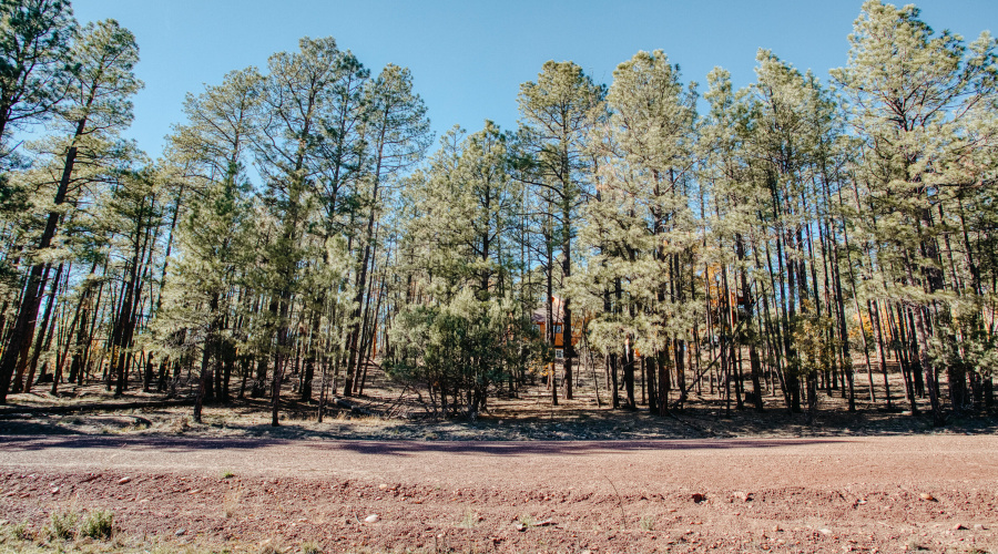 Double Lot Near Show Low