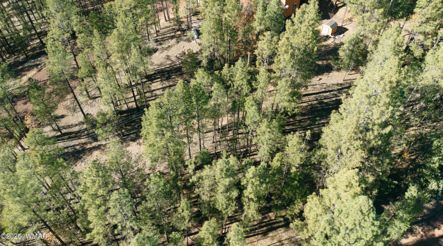 Double Lot Near Show Low