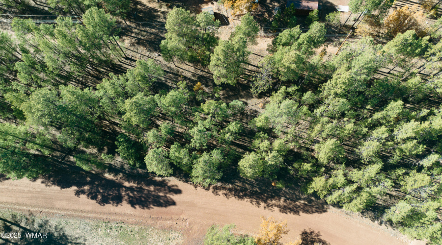 Double Lot Near Show Low