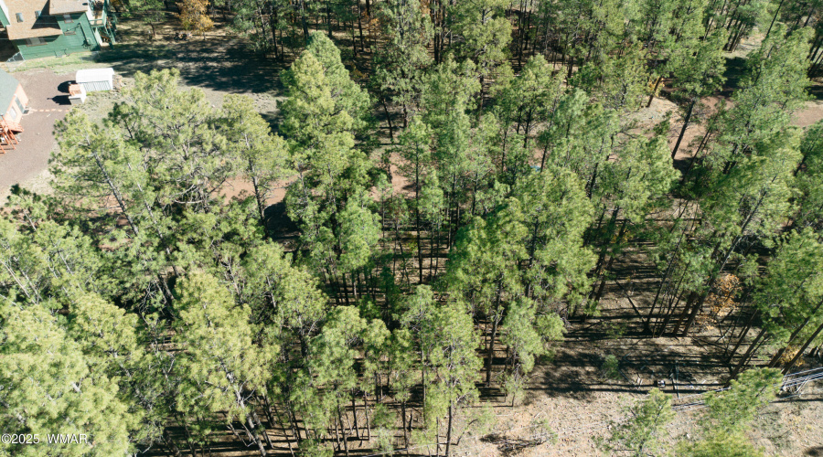 Double Lot Near Show Low