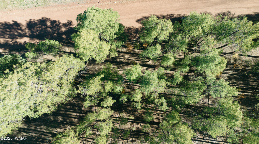 Double Lot Near Show Low