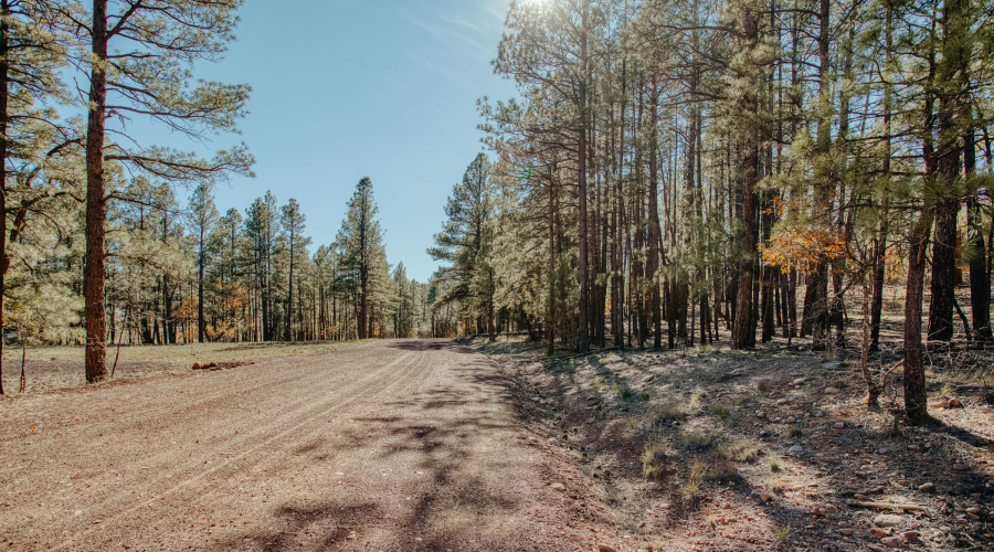 Double Lot Near Show Low