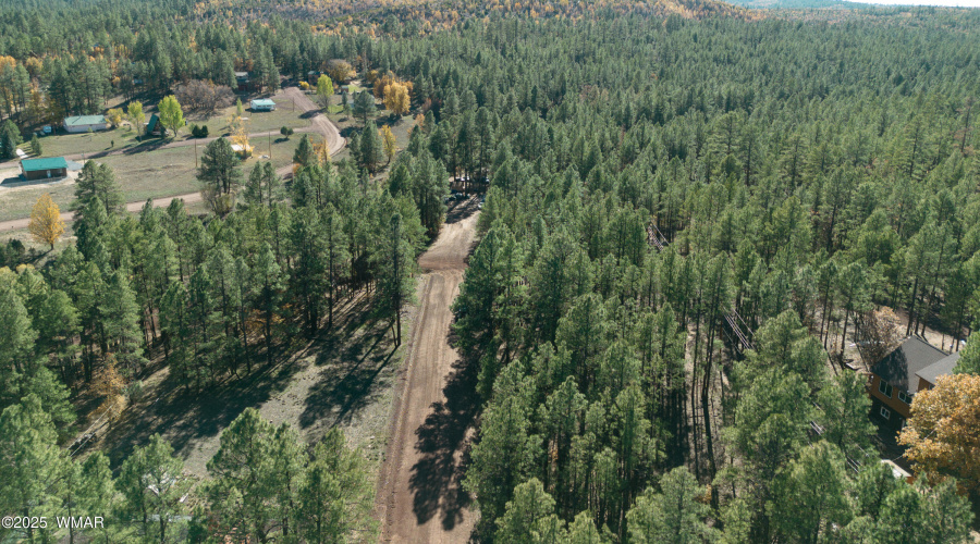 Double Lot Near Show Low