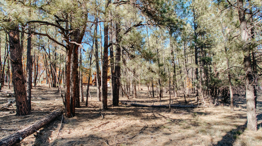 Double Lot Near Show Low