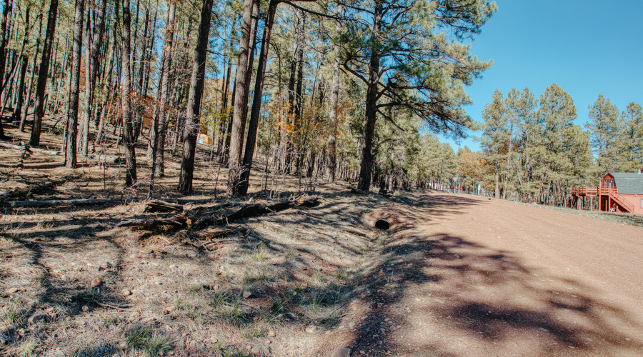 Double Lot Near Show Low