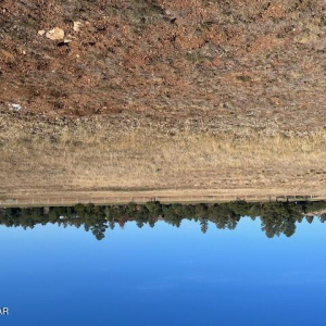 2310 Quarter Horse Trail