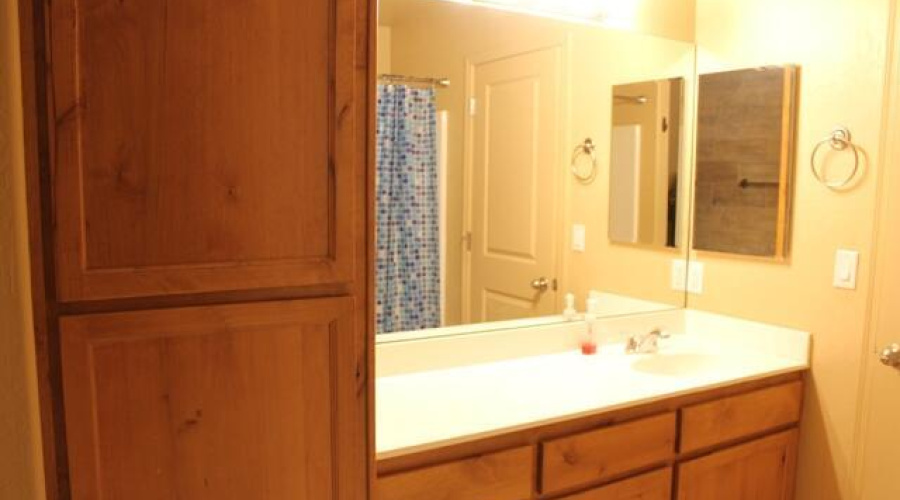 master bathroom vanity