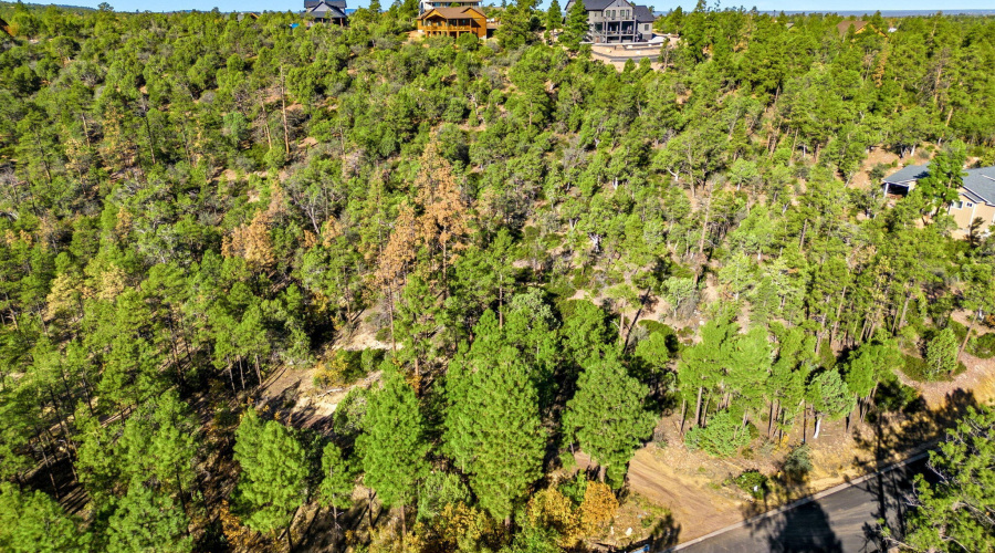 1920SPleasantviewDr-ShowLowAZ-8