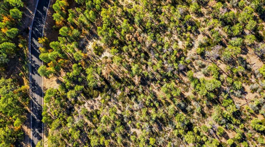 1920SPleasantviewDr-ShowLowAZ-9