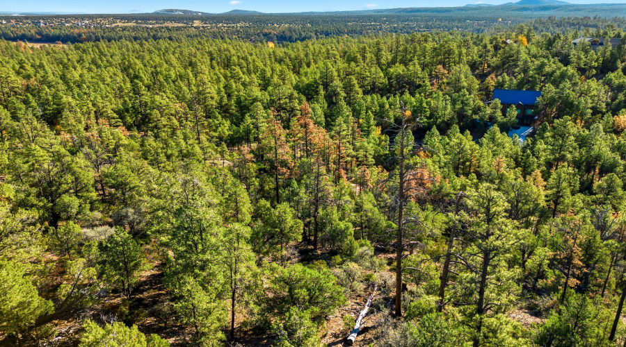 1920SPleasantviewDr-ShowLowAZ-10