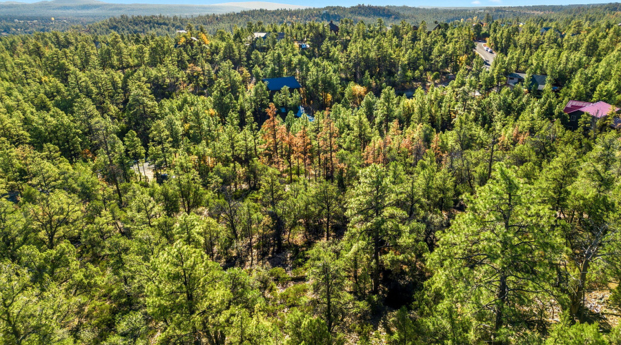 1920SPleasantviewDr-ShowLowAZ-11