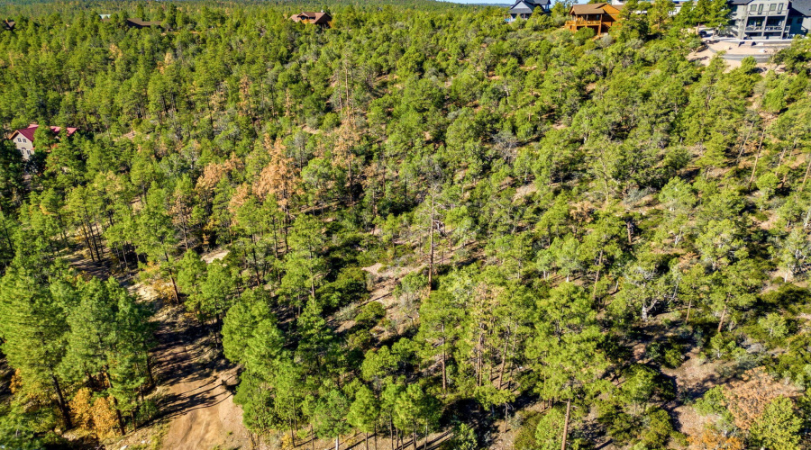 1920SPleasantviewDr-ShowLowAZ-12