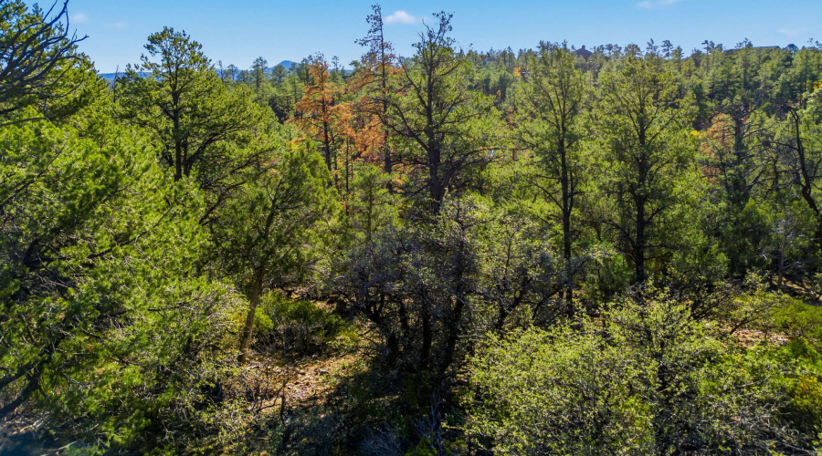 1920SPleasantviewDr-ShowLowAZ-13