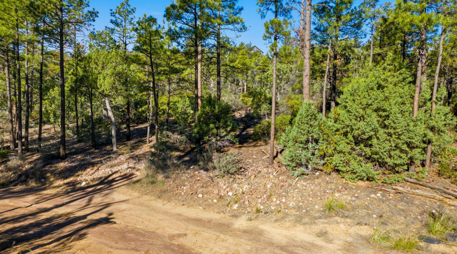 1920SPleasantviewDr-ShowLowAZ-16