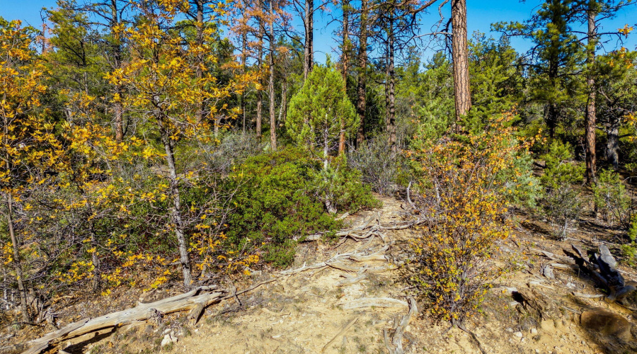 1920SPleasantviewDr-ShowLowAZ-14