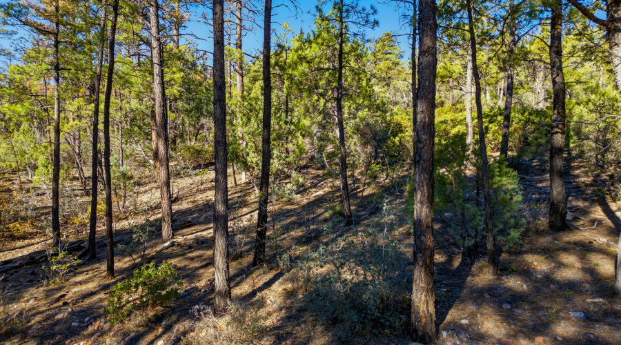 1920SPleasantviewDr-ShowLowAZ-15