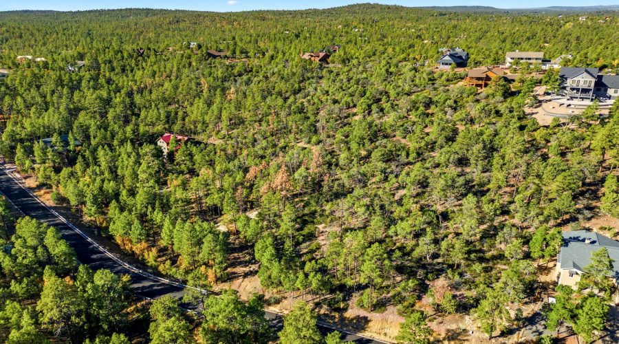 1920SPleasantviewDr-ShowLowAZ-7