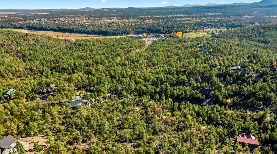 1920SPleasantviewDr-ShowLowAZ-4