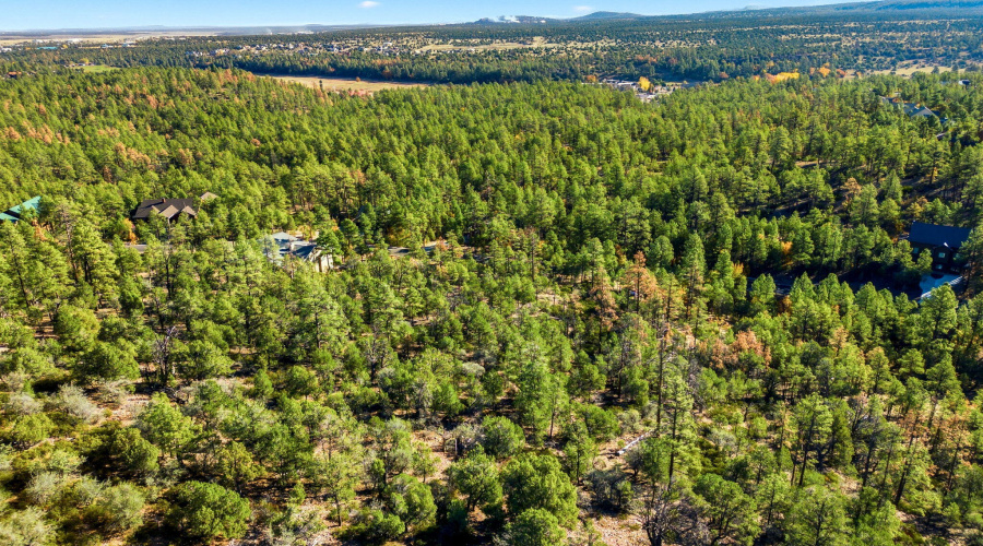 1920SPleasantviewDr-ShowLowAZ-5