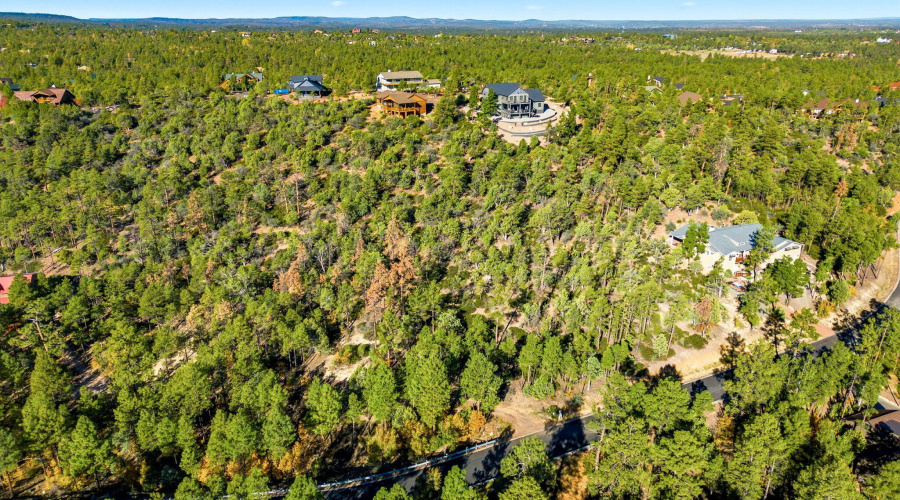 1920SPleasantviewDr-ShowLowAZ-6