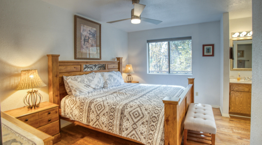 Paxmanphoto_PAX_9227