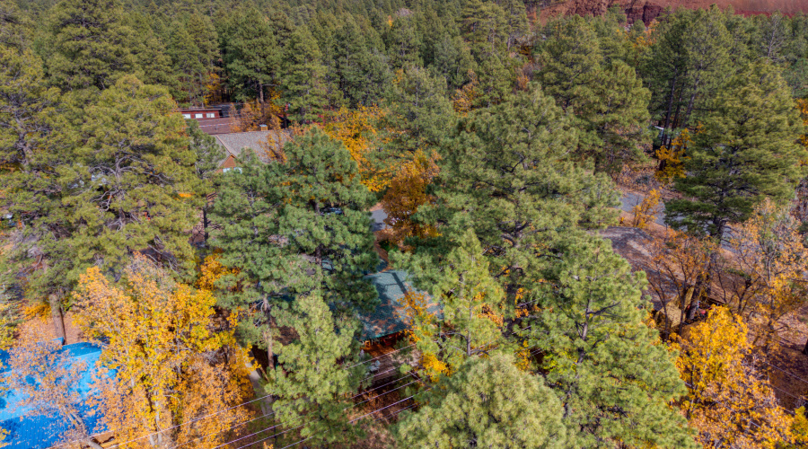 Paxmanphoto_dji_fly_20251103_135850_0139