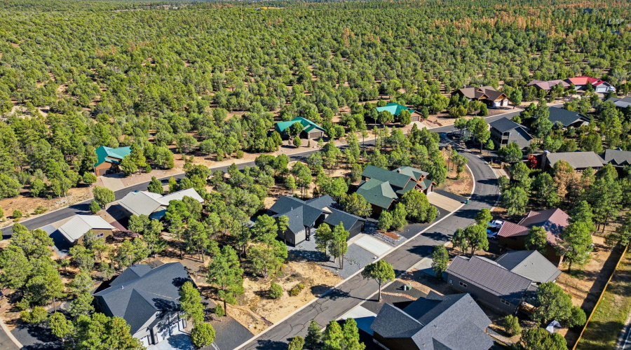 2701NEagleViewLp-ShowLowAZ-31