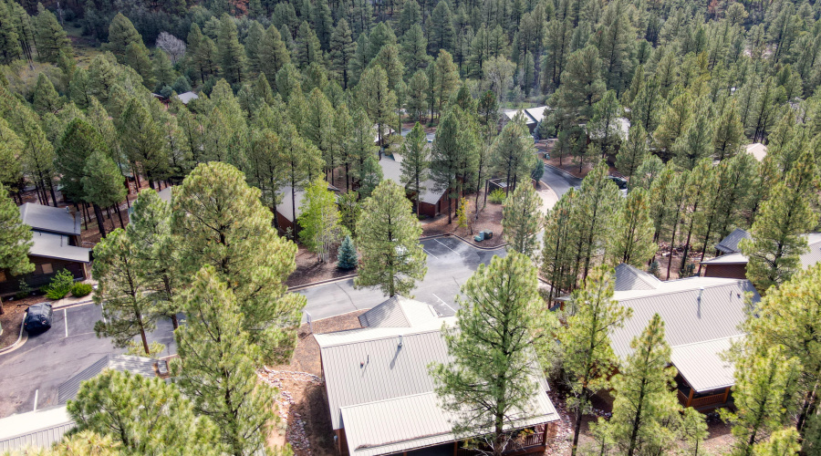 Paxmanphoto_DJI_0521 2