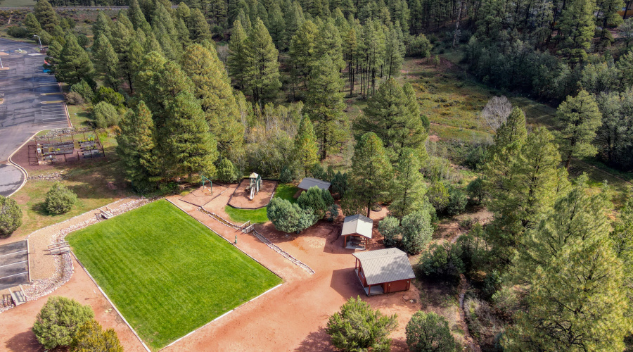 Paxmanphoto_DJI_0525 2