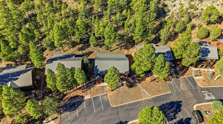 4820TatankaDr-ShowLow-AZ-28