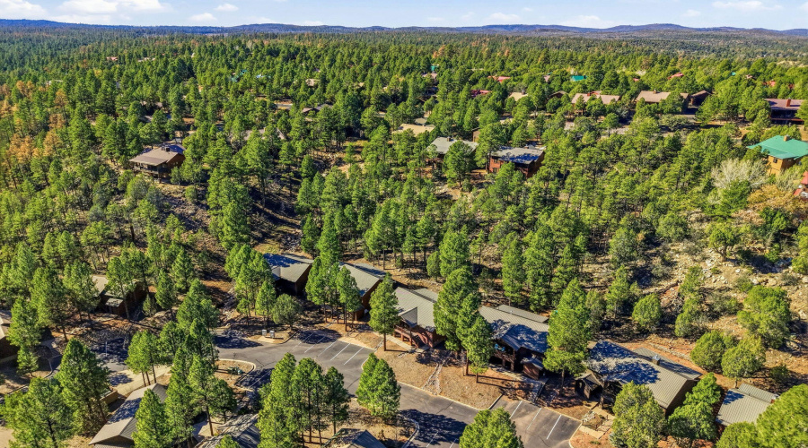 4820TatankaDr-ShowLow-AZ-29