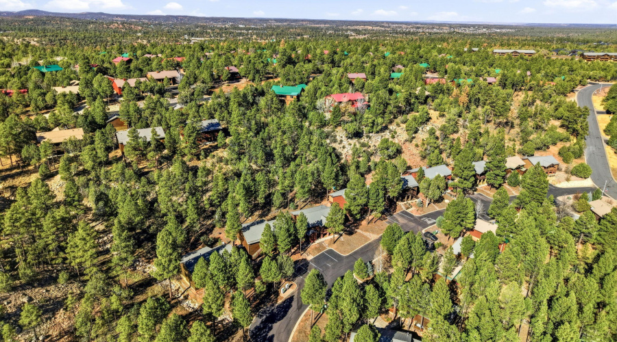 4820TatankaDr-ShowLow-AZ-30