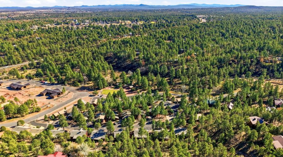 4820TatankaDr-ShowLow-AZ-31