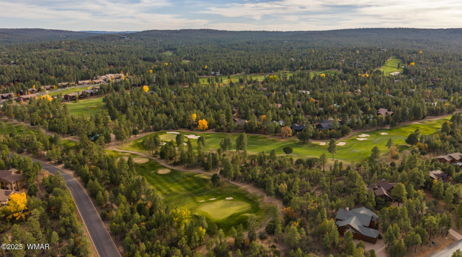 77) #16TH HOLE BEHIND HOME