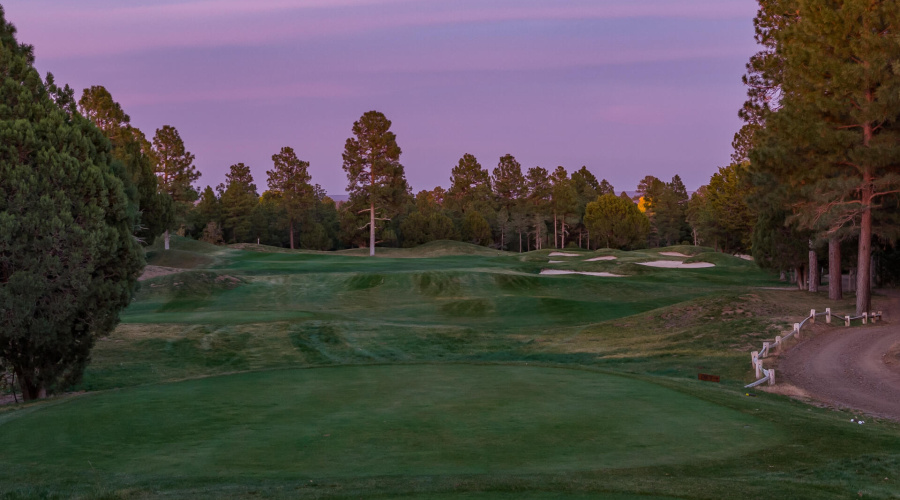 71) #16TH HOLE BEHIND HOUSE