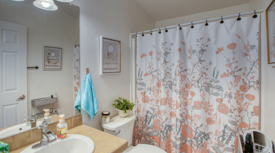 Paxmanphoto_PAX_7462