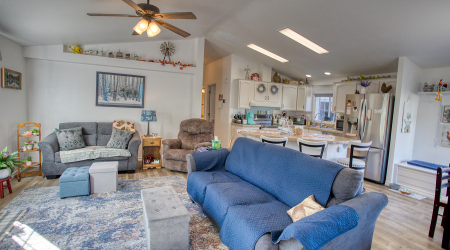 Paxmanphoto_PAX_7478